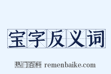 宝字反义词是什么意思的图片